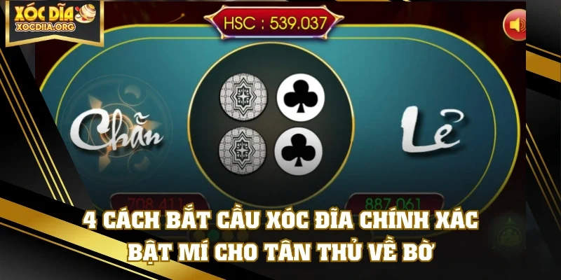 4 Cách Bắt Cầu Xóc Đĩa Chính Xác - Bật Mí Cho Tân Thủ Về Bờ