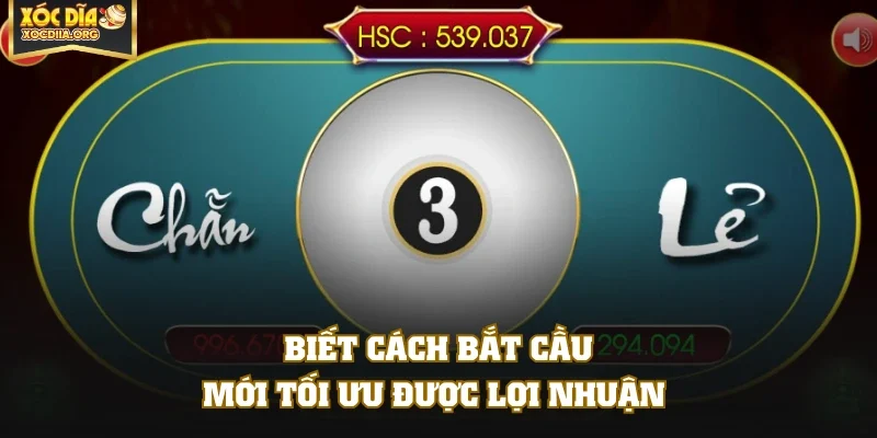 Biết cách bắt cầu mới tối ưu được lợi nhuận