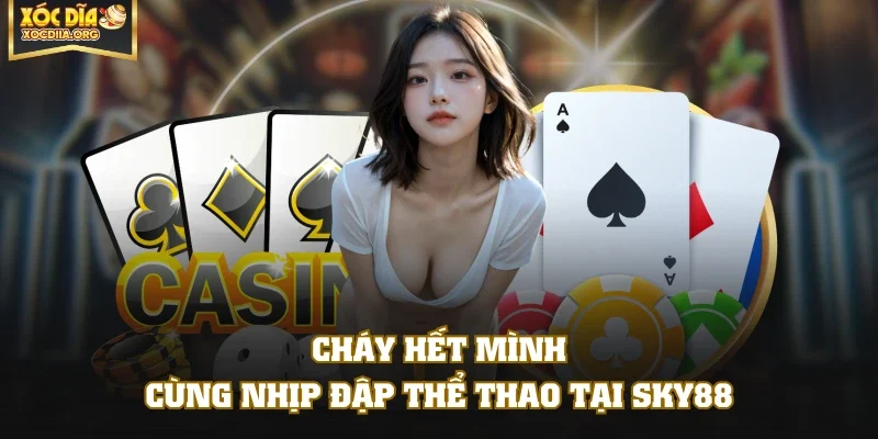 Casino ZBET mang đến những cuộc đánh bài đổi thưởng đẳng cấp