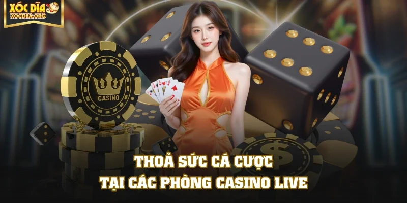Thoả sức cá cược tại các phòng casino live