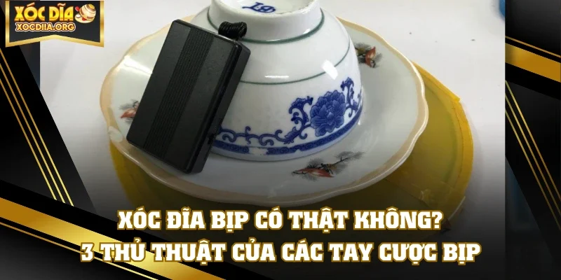 Xóc Đĩa Bịp Có Thật Không? 3 Thủ Thuật Của Các Tay Cược Bịp